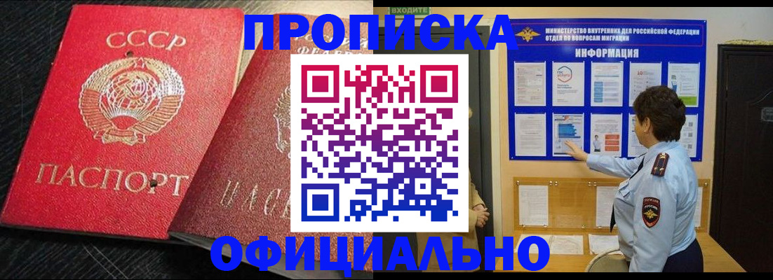 купить прописку в Купино